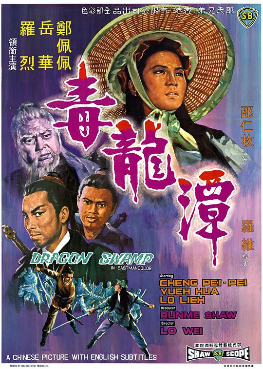《夫妇联欢回不去的夜晚》海报